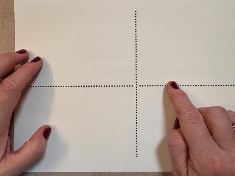 Figure: Stripped coordinate system using swell paper
