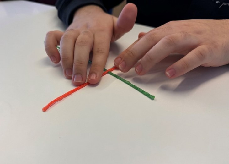 Figure: Stripped coordinate system using Wikki Stix