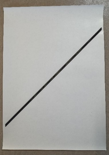 Figure: Linear graph on swell paper
