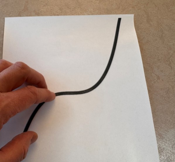 Figure: Graph of a third degree function on swell paper